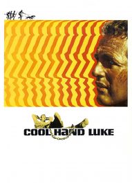 لوک خوش دست – Cool Hand Luke 1967