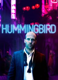 مرغ مگس‌ خوار – Hummingbird 2013