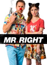 آقای رایت – Mr. Right 2015