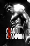 چاندوی قهرمان – Chandu Champion 2024