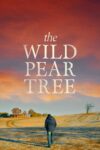 درخت گلابی وحشی – The Wild Pear Tree 2018