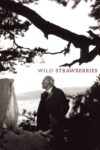 توت‌ فرنگی‌ های وحشی – Wild Strawberries 1957