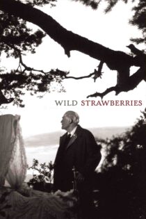 توت‌ فرنگی‌ های وحشی – Wild Strawberries 1957