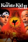 بچه کاراته کار : قسمت دوم – The Karate Kid Part II 1986