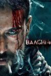 یاغی 4 – Baaghi 4 2025