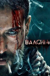 یاغی 4 – Baaghi 4 2025