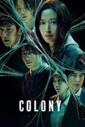 کلونی – Colony 2026
