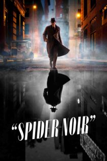 اسپایدر نوآر – Spider-Noir