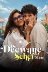 دو دیوانه در شهر – Do Deewane Seher Mein 2026