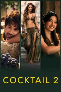 کوکتل 2 – Cocktail 2 2026