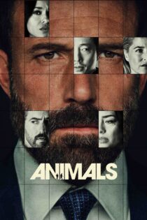 حیوانات – Animals 2026