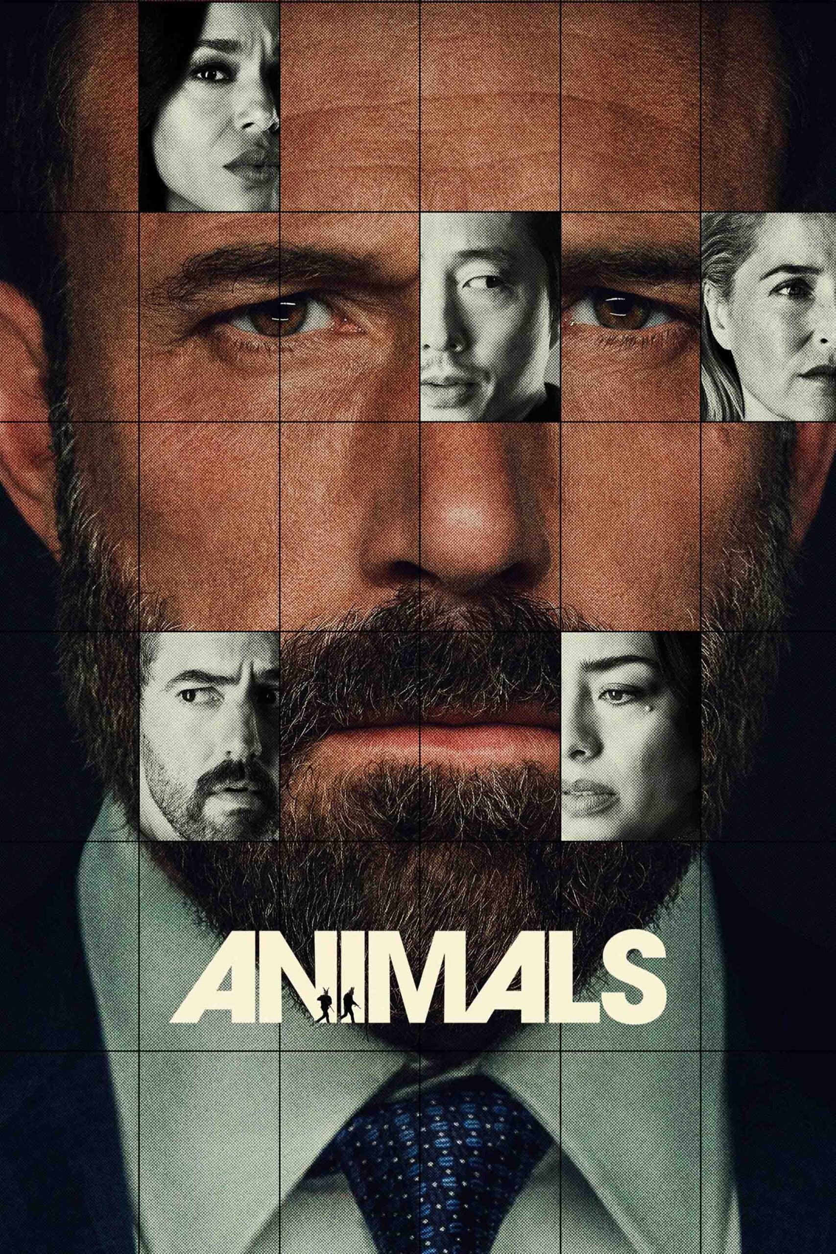 حیوانات – Animals 2026